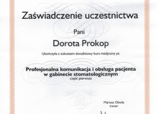 protezy