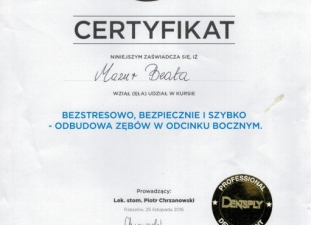 protetyka