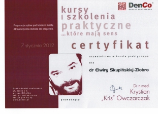 protetyka